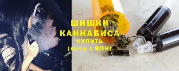 PSILOCYBIN Карпинск