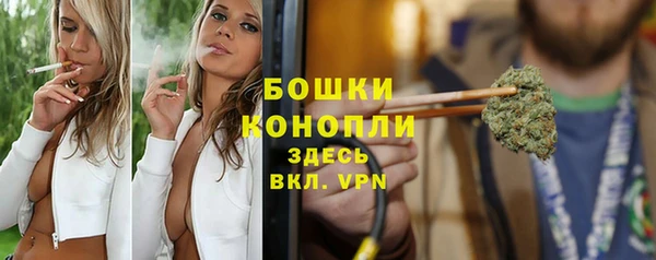 PSILOCYBIN Карпинск