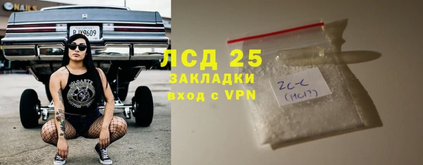 PSILOCYBIN Карпинск