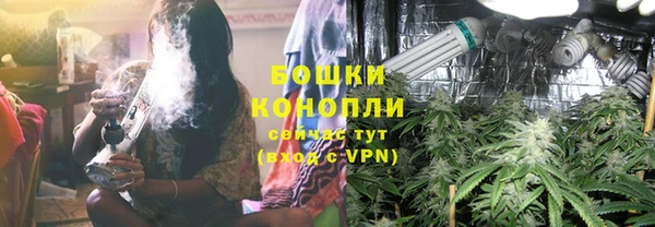 PSILOCYBIN Карпинск