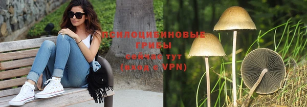 PSILOCYBIN Карпинск