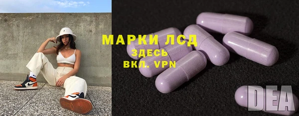 PSILOCYBIN Карпинск