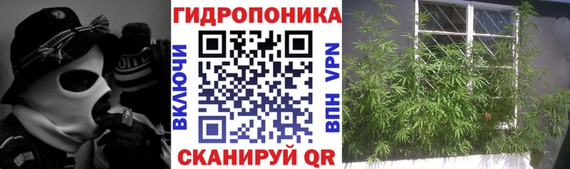 Канабис конопля  Купить закладки  Берёзовский 